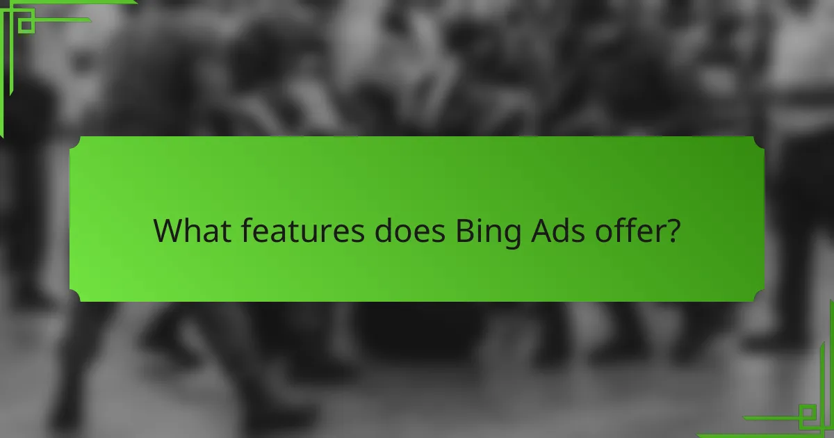 What features does Bing Ads offer?